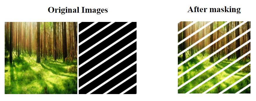 Example masking with image
